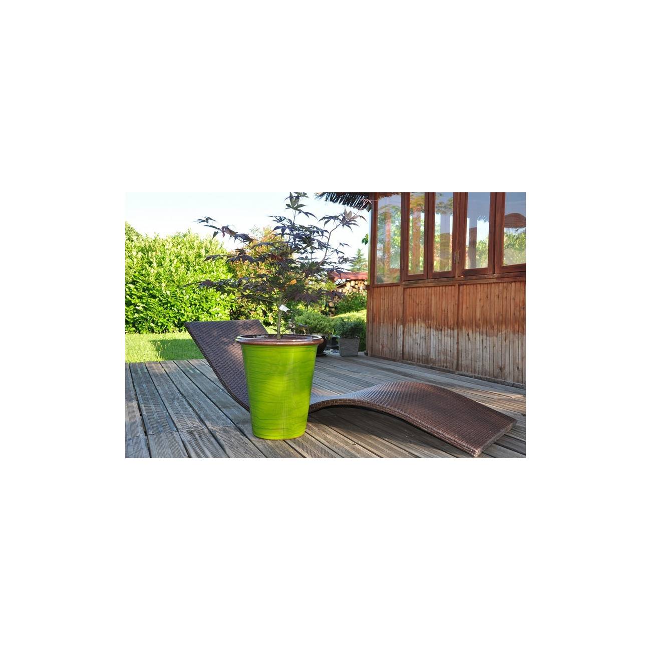 Pot en terre cuite forme cuvier en V large rebord Baobab vert marron Bois et Nature