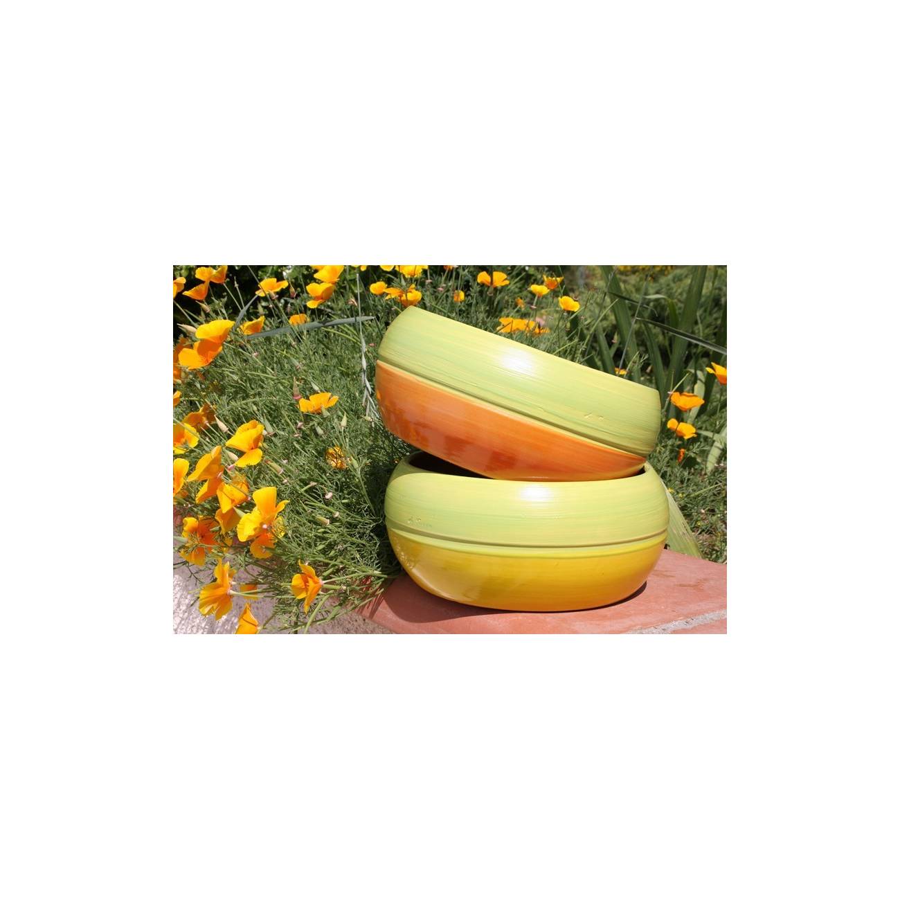 Pot bas et large forme de coupe ou vasque ronde Mélilo Jaune Vert Peps