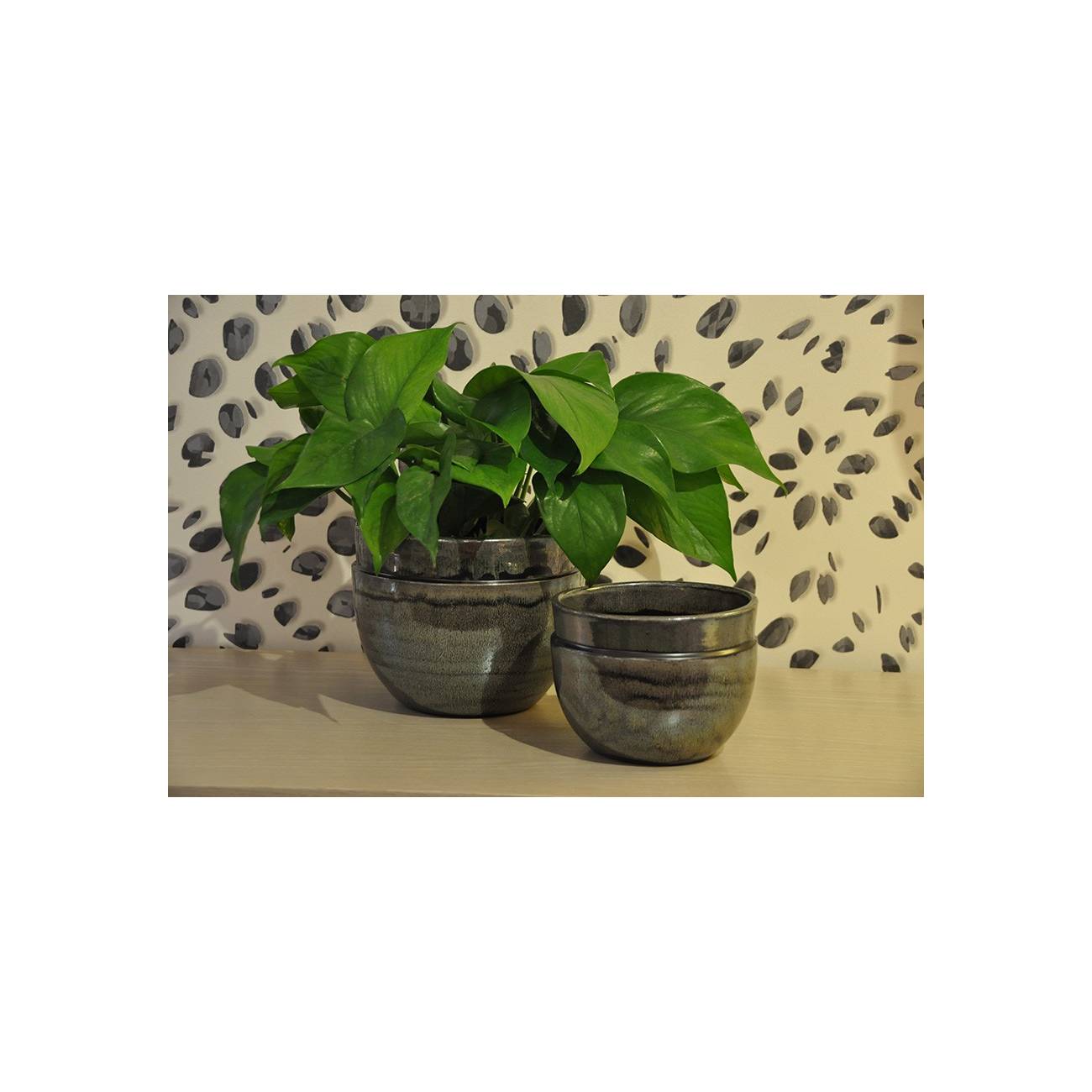 Petit pot rond profond Austral gris vert et kaki Jungle
