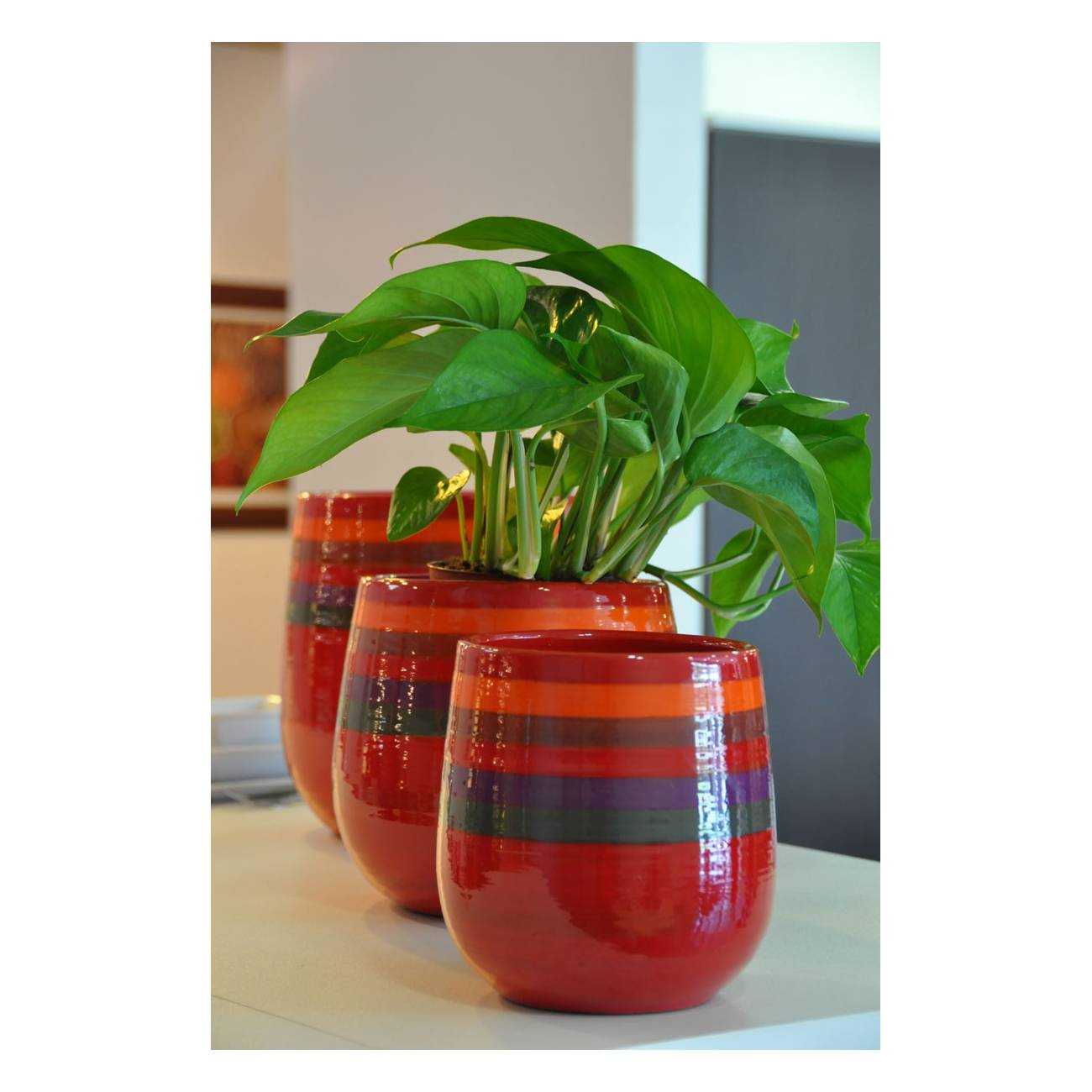 Pot moyen haut avec base arrondie Saint Tropez Saint Tropez rouge rayé Tutti Frutti Coquelicot