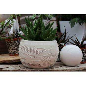 Petit pot effet de Matière blanc crème Voile de Nacre
