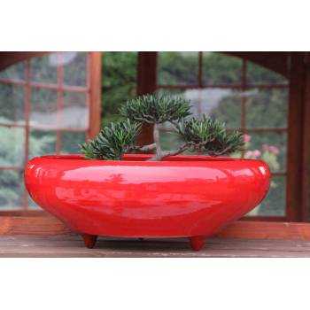 Coupe ronde sur pieds pour bonsaï et jardins zen Kyoto Rouge Coquelicot