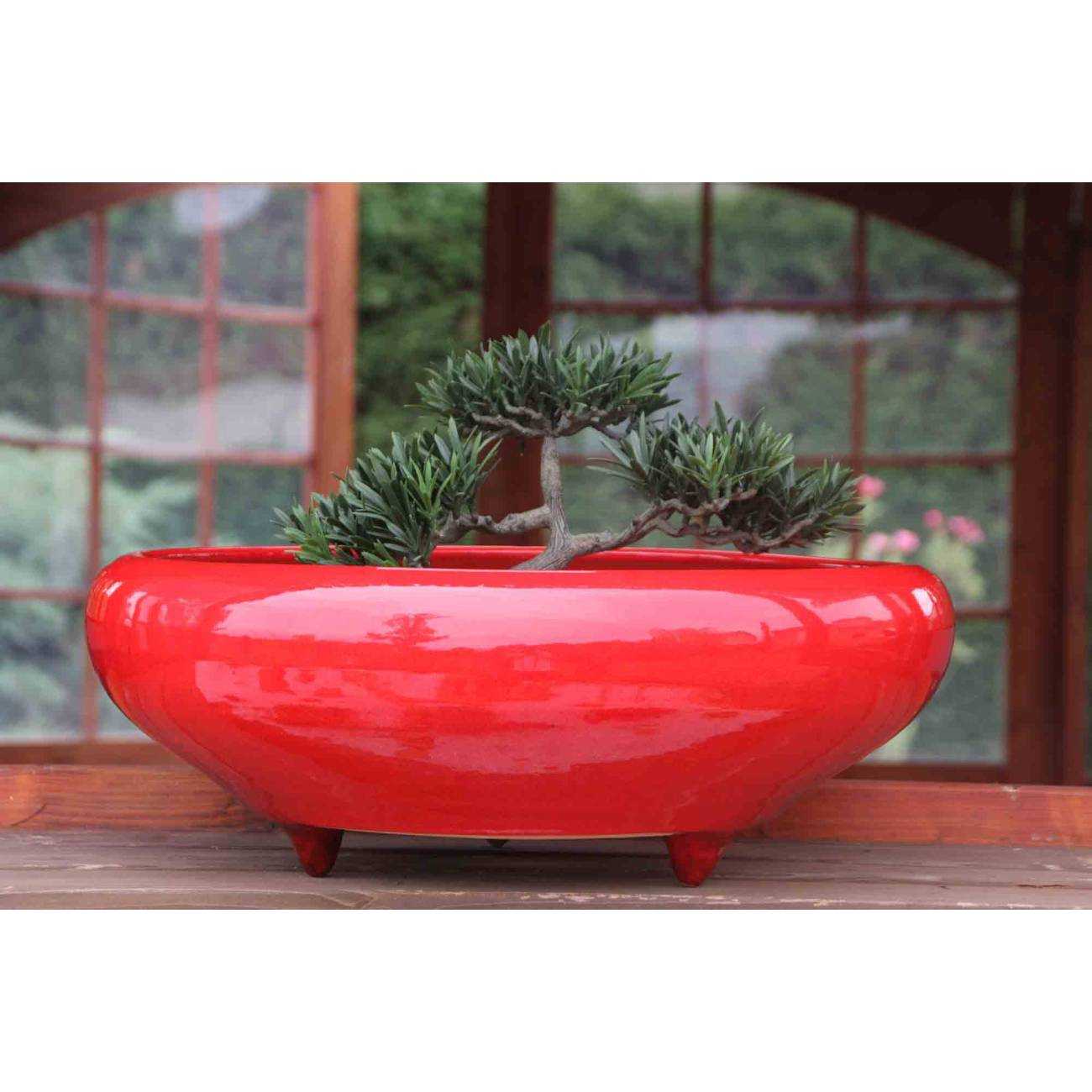 Coupe ronde sur pieds pour bonsaï et jardins zen Kyoto Rouge Coquelicot