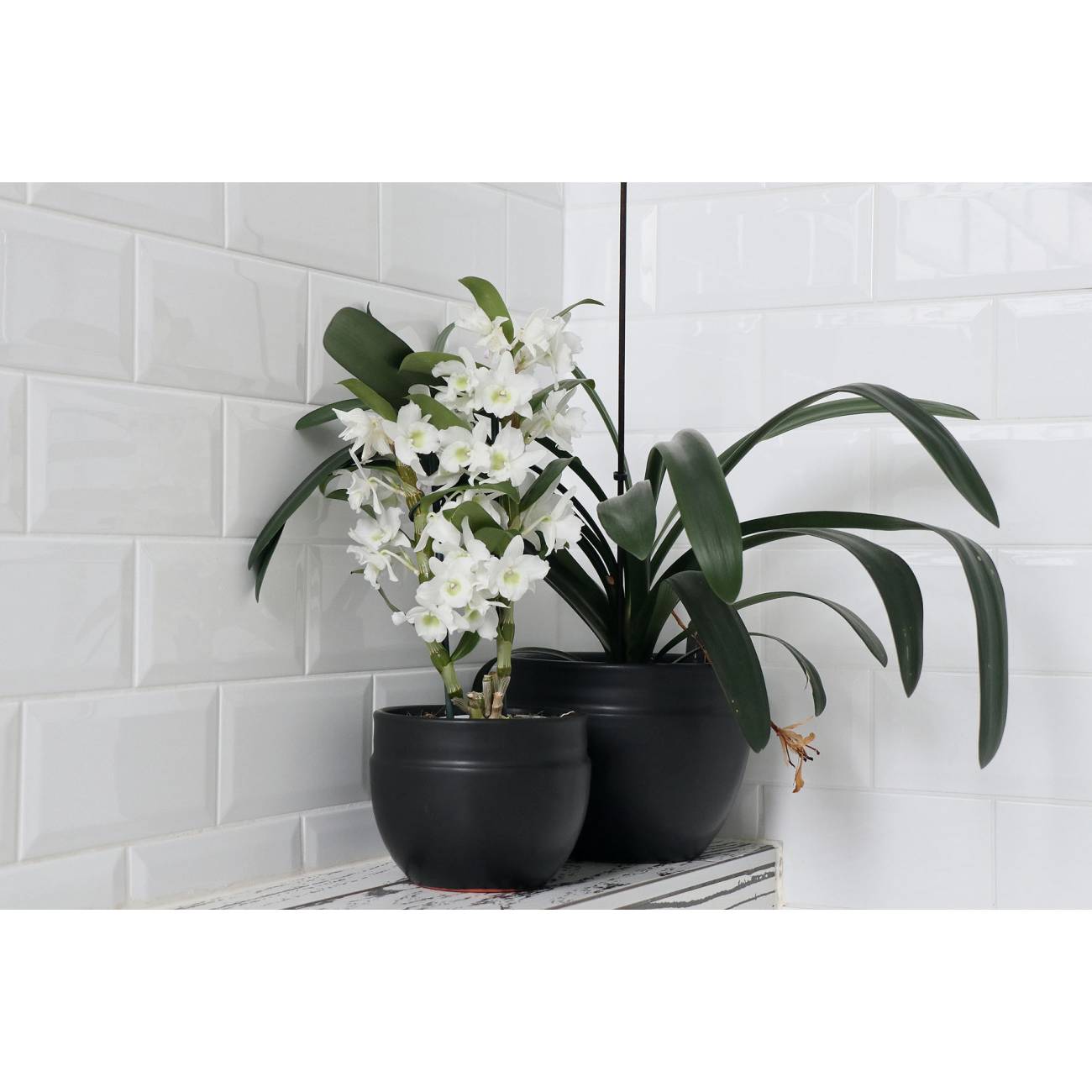 Pot profond en forme de U à double rebord Austral Noir Mat'essence Black