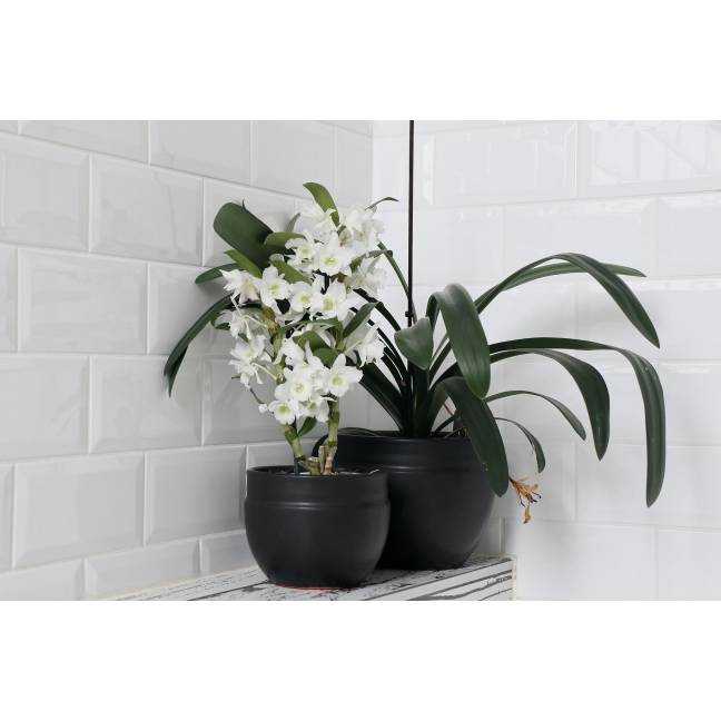 Pot profond en forme de U à double rebord Austral Noir Mat'essence Black