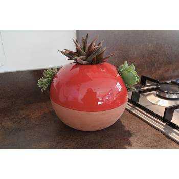 Petit pot coloré pour Mini Plantes Terracotta