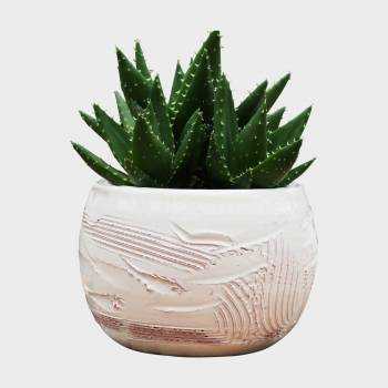 Petit pot effet de Matière blanc crème Voile de Nacre