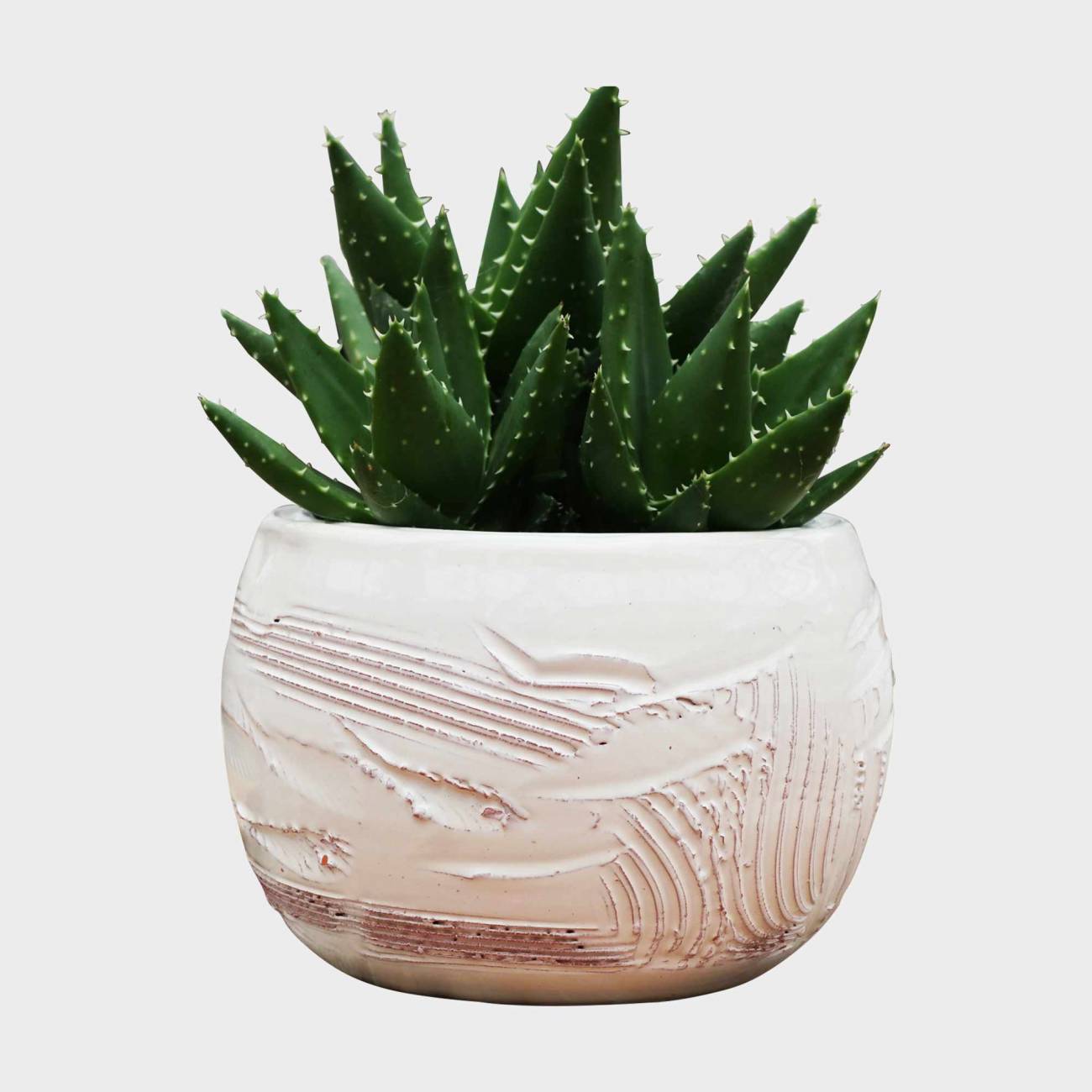 Petit pot effet de Matière blanc crème Voile de Nacre Petit pot effet de Matière blanc crème Voile de Nacre