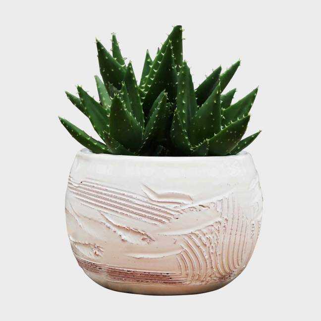 Petit pot effet de Matière blanc crème Voile de Nacre