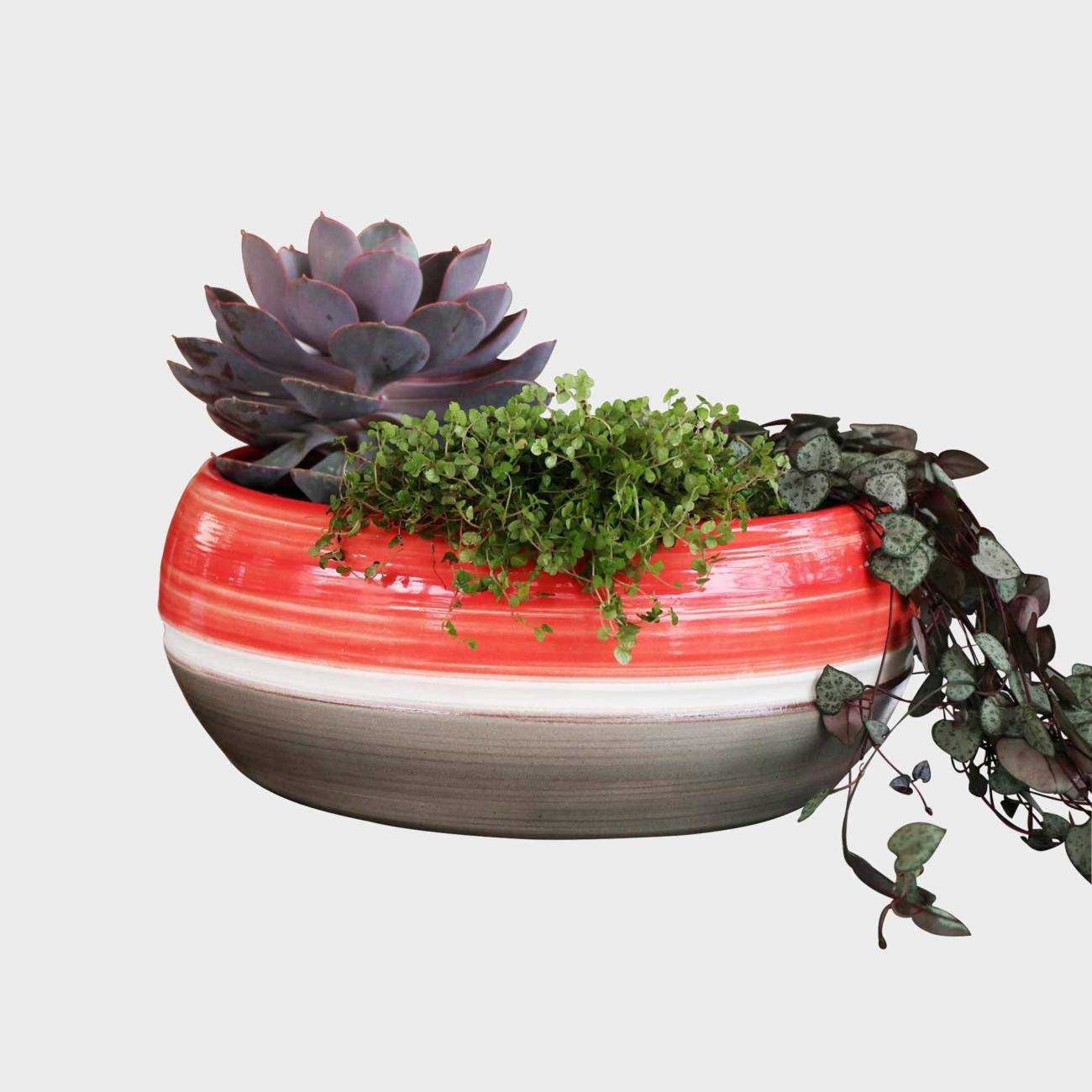 Pot bas et large forme de coupe ou vasque ronde Mélilo gris corail Béton Ciré Pot bas et large forme de coupe ou vasque ronde Mélilo gris corail Béton Ciré