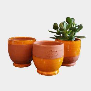 Petit pot coloré pour Cactées Terracotta