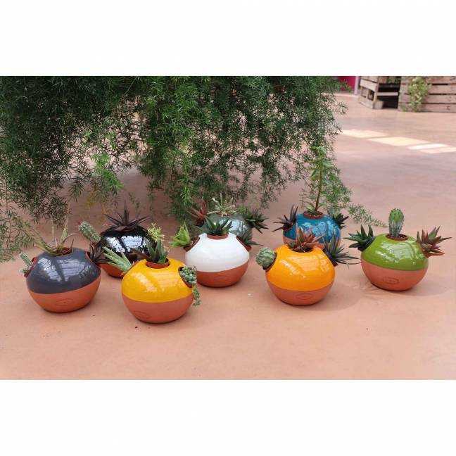 Petit pot coloré pour Mini Plantes Terracotta