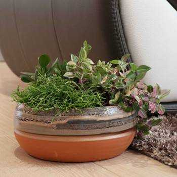 Pot bas et large forme de coupe ou vasque ronde Mélilo gris Nude