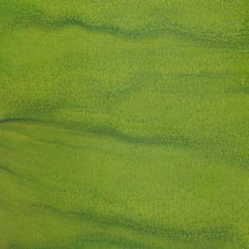 Couleur vert Bois et Nature