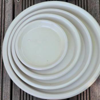 Soucoupe Crème Noisette D28