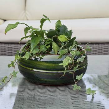 Pot bas et large forme de coupe ou vasque ronde Mélilo Forêt