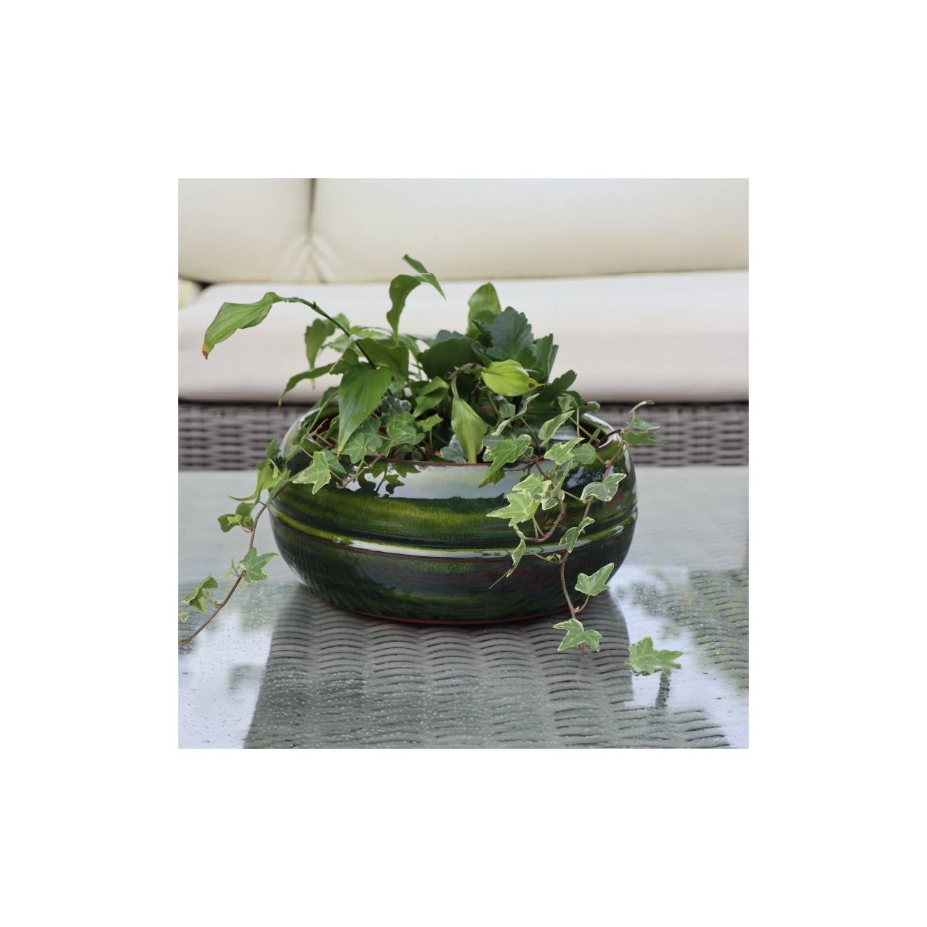 Pot bas et large forme de coupe ou vasque ronde Mélilo Forêt