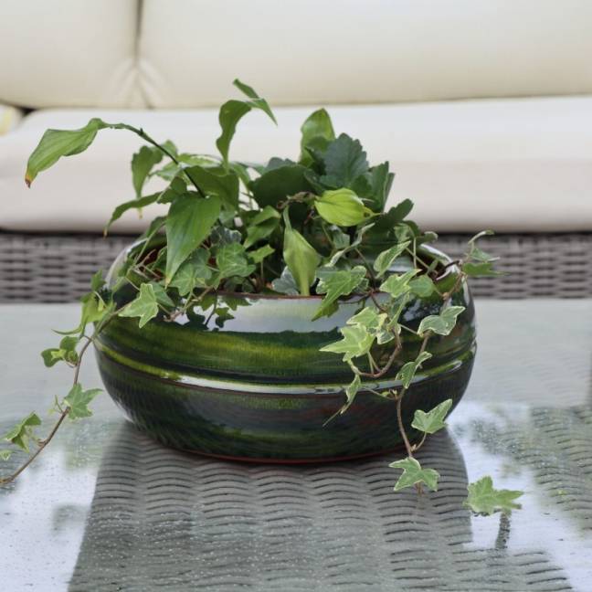 Pot bas et large forme de coupe ou vasque ronde Mélilo Forêt