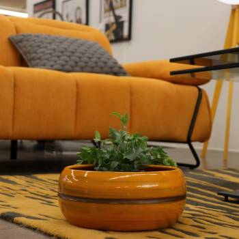 Pot bas et large forme de coupe ou vasque ronde Mélilo Jaune Bronze Ibiza Sunshine