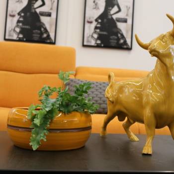 Pot bas et large forme de coupe ou vasque ronde Mélilo Jaune Bronze Ibiza Sunshine