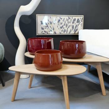 Coupe ronde Refuge Chocolats & Cerise noire