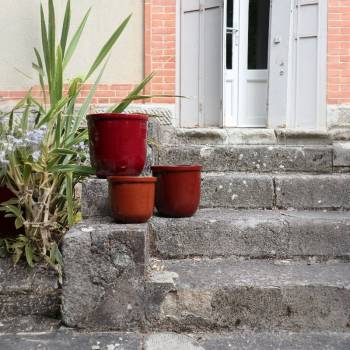 Pot droit avec rebord fin Flacon Chocolats & Cerise noire