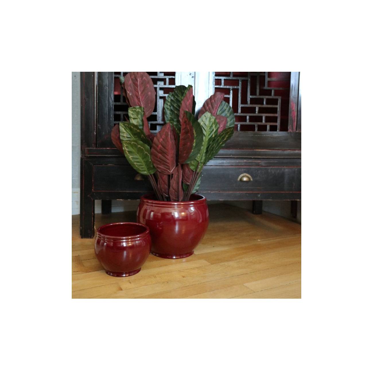 Pot rond avec liseré Bouton de Rose Chocolats & Cerise noire