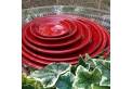 Soucoupe Ronde Coquelicot D22