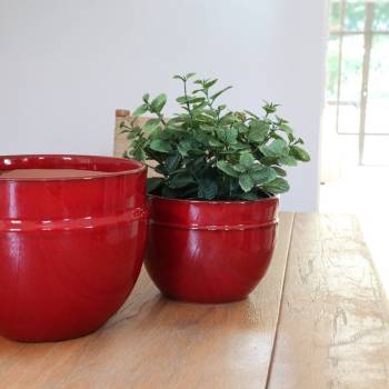 Pot Profond en Forme de U à Double Rebord Austral rouge et marron Bois de Santal