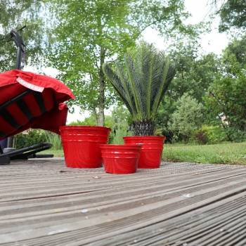 Vase droit Elixir rouge Coquelicot