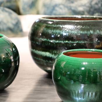 Coupe L'Absolu vert Jade et Jade Vivant