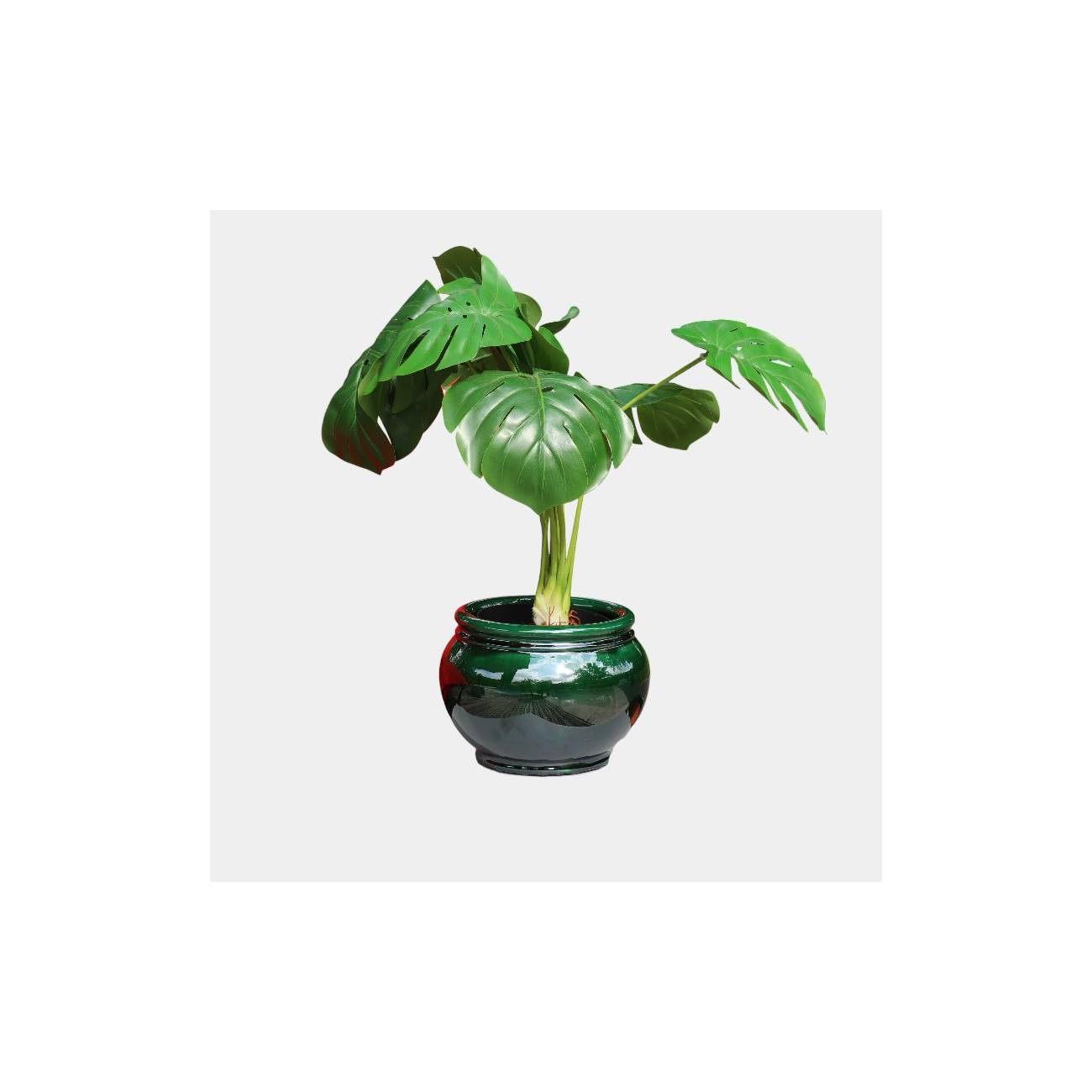 Pot rond avec liseré Bouton de Rose vert Jade Pot rond avec liseré Bouton de Rose vert Jade