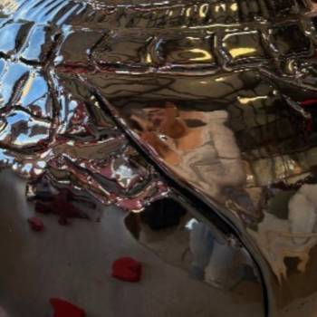 Boule Décorée noir brillant...