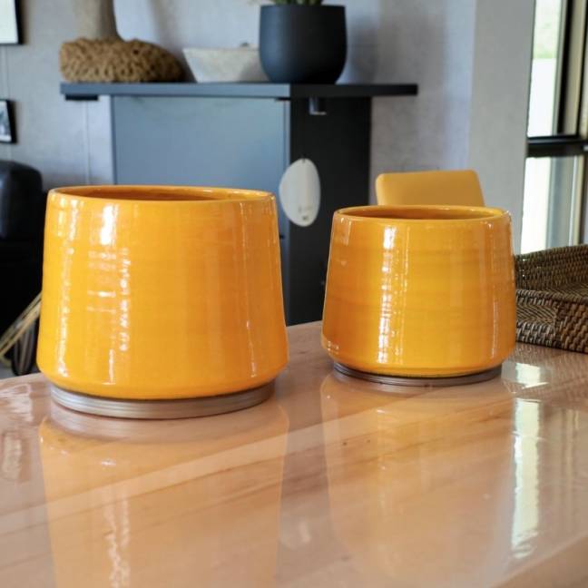 Ephémère jaune et bronze...