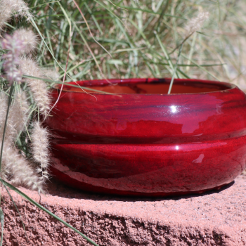 Pot bas et large forme de...