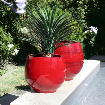 Pot rond large et profond...