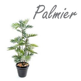 Palmier