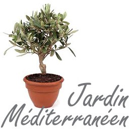 Jardin Méditerranéen