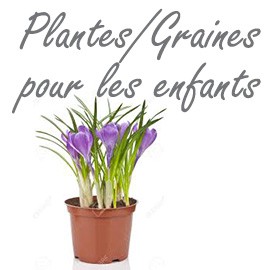 Plantes/Graines pour les enfants