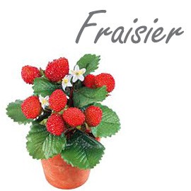 Fraisier