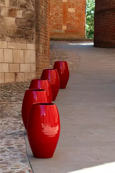 Jardinerie près d'Arles : Bulbes, Graines et Plantes - Jardinerie LLORENS