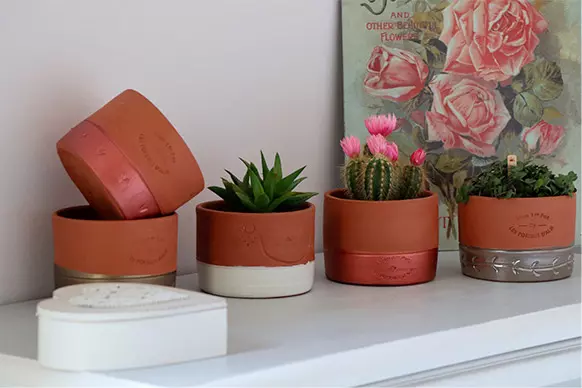 Comment blanchir vos pots en terre cuite - Swanee Rose Le Blog