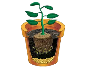Schéma descriptif de la taille de pot pour rempotage de votre plante