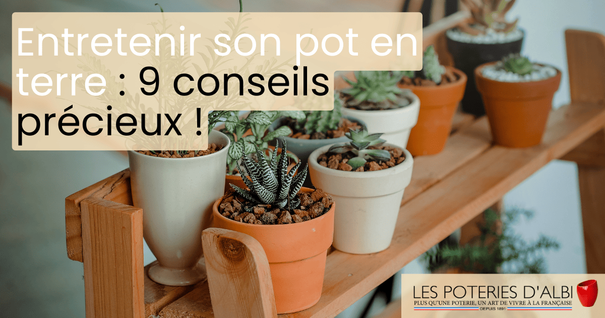 Prendre soin de vos vases en terre cuite : 9 conseils indispensables