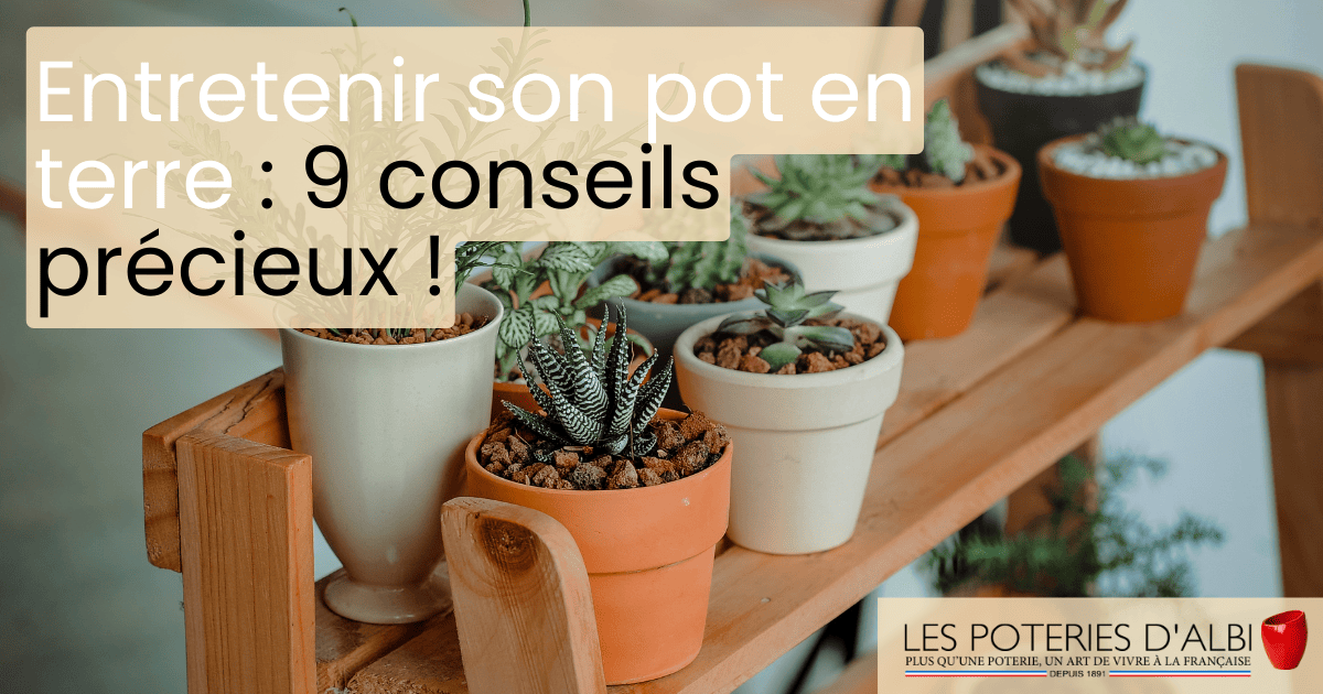 5 conseils indispensables pour bien conserver vos épices