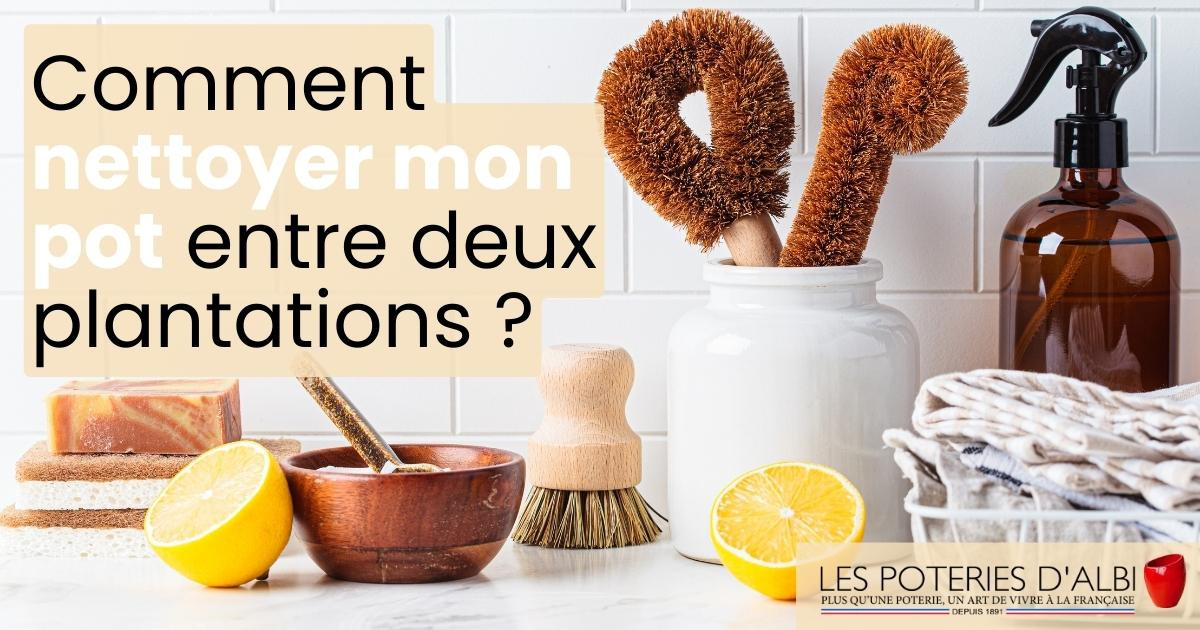 Comment nettoyer le pot entre deux plantations ?