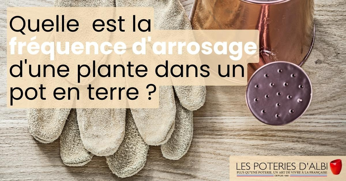 Quelle est la fréquence d’arrosage d’une plante dans un pot en terre ?