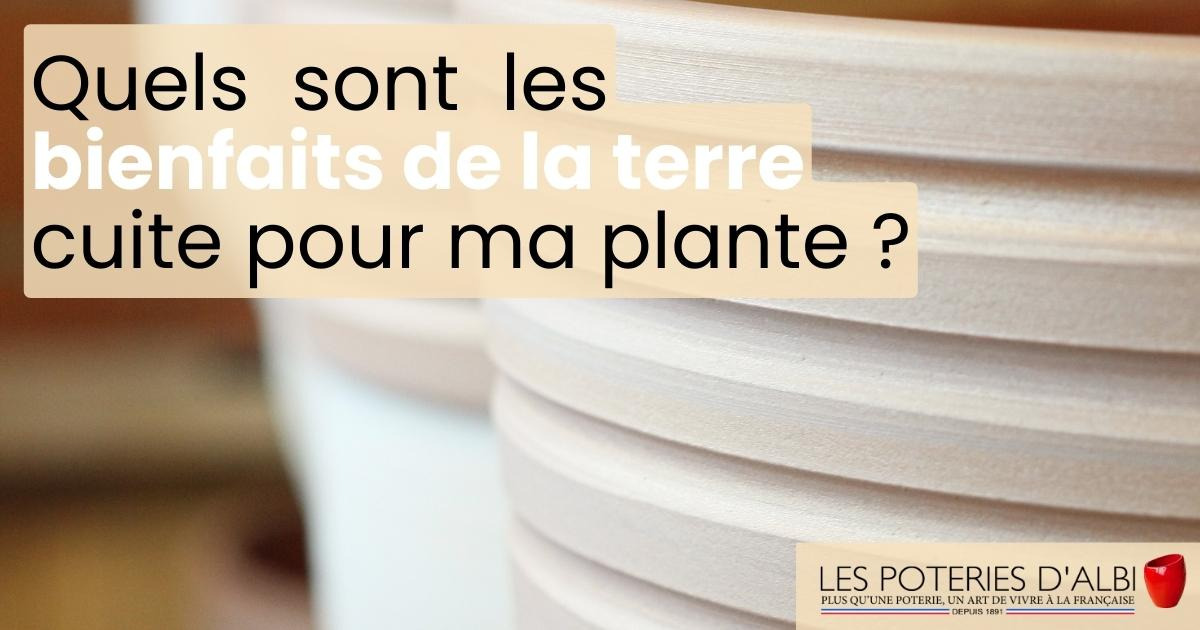 Les bienfaits de la terre cuite pour ma plante