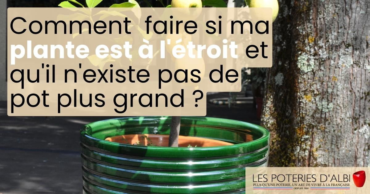 Comment faire si ma plante est à l’étroit mais qu’il n’existe pas de pot plus grand ?