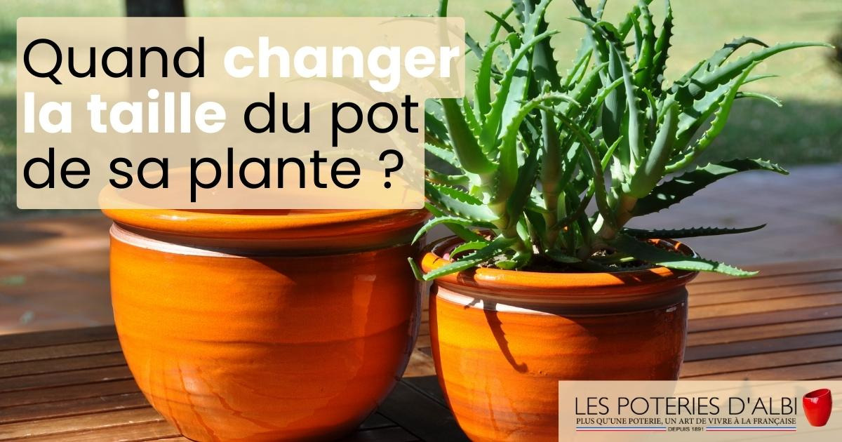 Quand doit-on changer la taille du pot ?